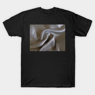 Silk Swirls T-Shirt